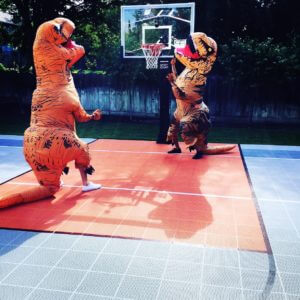 Dinosaurs playing on Sport Court