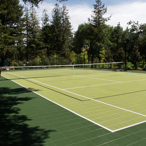 Backyard Tennis Court Multi Sport